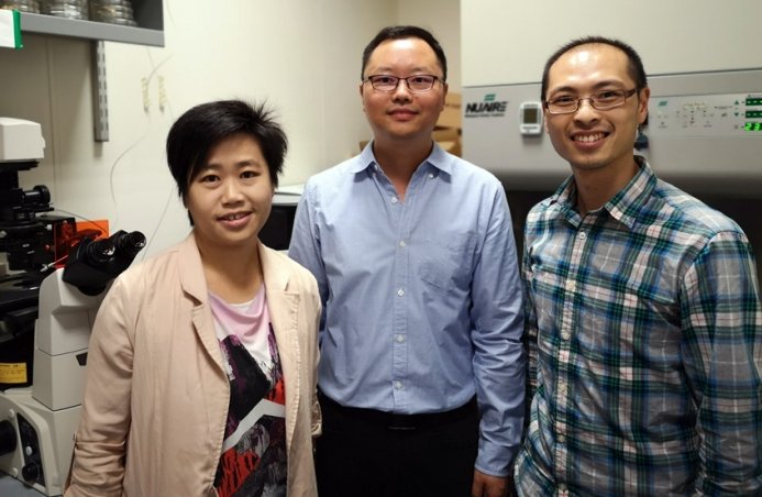 Dr Xiang David Li (middle) with his collaborators Dr Karen Wing Yee Yuen (left) and Dr Jason Wing Hon Wong (right)