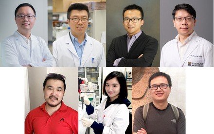 Seven HKU young scientists awarded China's Excellent Young Scientists Fund 2019