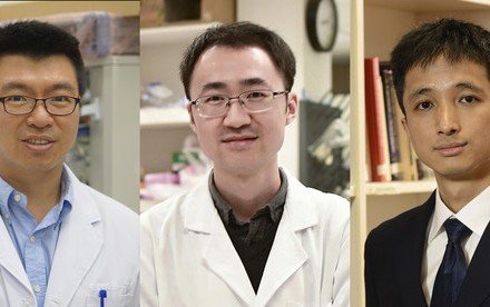 Three distinguished HKU academics receive  Croucher Innovation and Senior Research Fellowship Awards