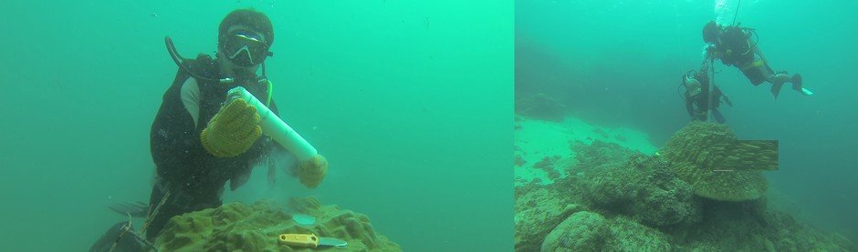 Researcher(s) drilling coral under water.