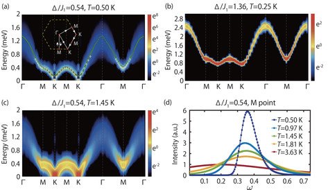 Quantum Monte Carlo computed magnetic spectra of TMGO at finite temperatures with comparison with experimental results.