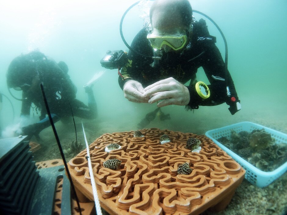 A structurally complex foundation for coral attachment with additional elements to aid the removal of sediments from the corals. (Photo Credit: AFCD)
