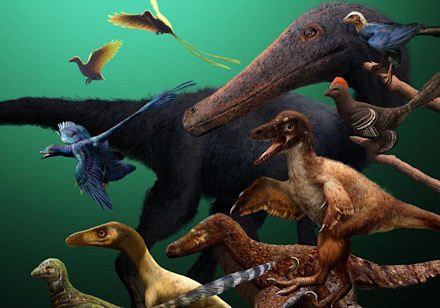 The origins of powered flight potential in theropod dinosaurs. Image credit: Julius T Csotonyi / Michael Pittman