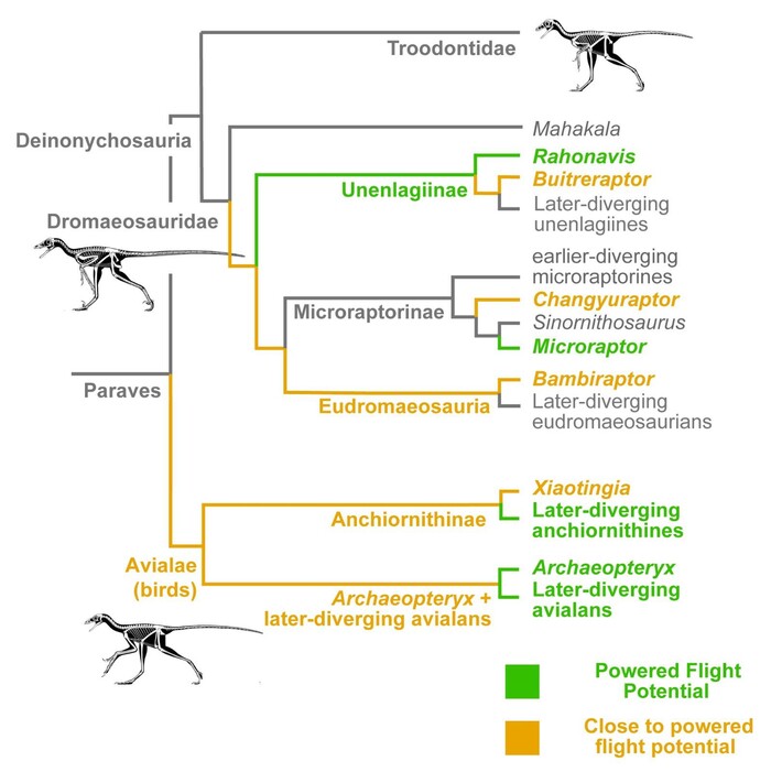 Image credit: Michael Pittman and co-authors