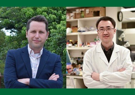 Seven HKU young scientists awarded China's Excellent Young Scientists Fund 2020