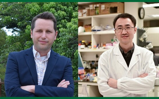 Seven HKU young scientists have been awarded the prestigious fund under the National Natural Science Foundation of China, in which, two of them are from HKU Science.