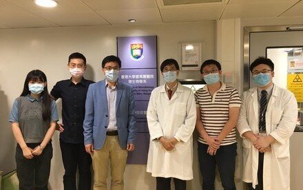 HKU scientists and microbiologists jointly discover a novel antiviral strategy  for treatment of COVID-19 using existing metallodrugs