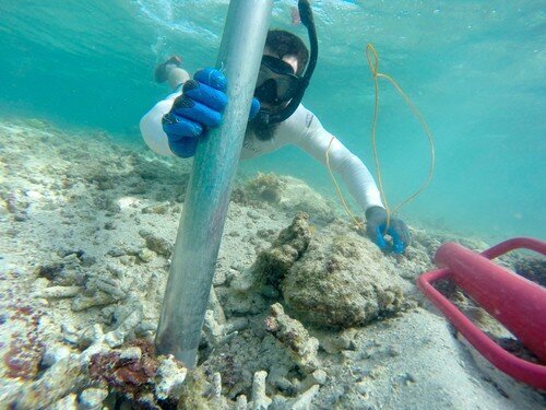 Cybulski collecting a “fossil time machine” or coral reef sediment core. (Photo credit: Dr Kiho Kim)