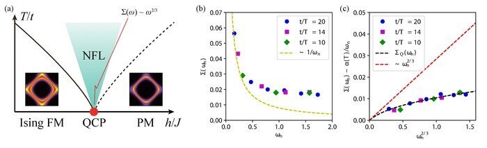 Figure 2. (a) Schematic phase diagram of ferromagnetic NFL, with the expected power-law behave in self-energy. (b) Self-energy calculated from quantum Monte Carlo simulation. It appears to have a slow diverging form. (c) NFL self-energy revealed after deduction of the thermal contribution. The black dashed line shows the theoretical prediction of zero-temperature NFL self-energy, while the red dashed line marks the low-frequency power-law form. 