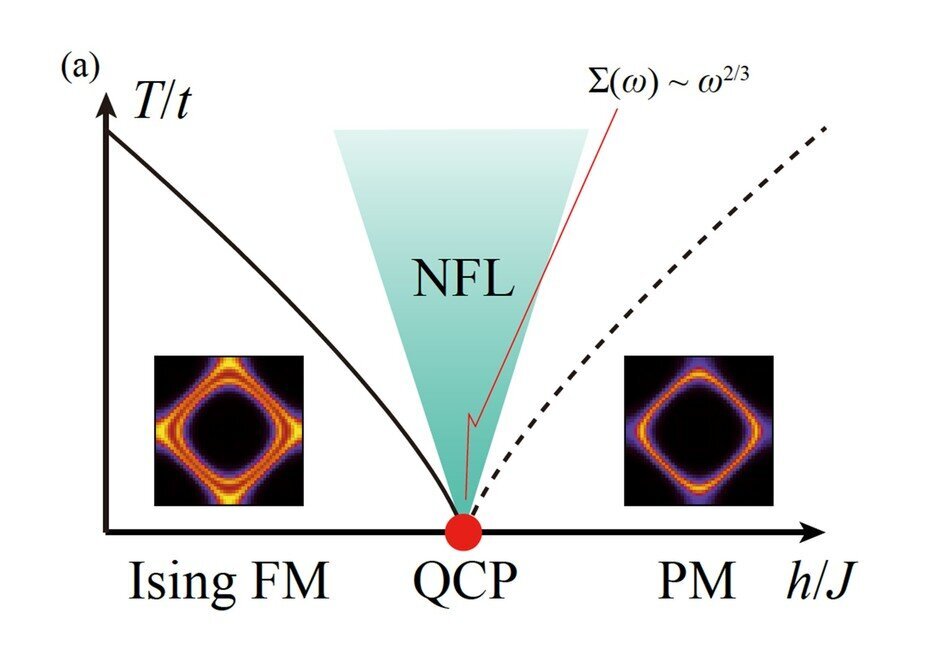 Schematic phase diagram of ferromagnetic NFL, with the expected power-law behave in self-energy.