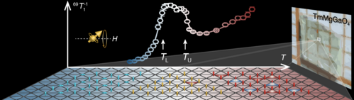 Figure 1. NMR spin-lattice relaxation rate measurement of quantum magnet TMGO reveals the topological KT phase as the plateau between T_L and T_U.