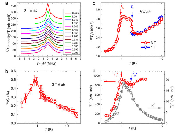 Figure 2. NMR spectra and spin-lattice relaxation rates of TMGO in (a), (b) and (c) and its theoretical computation  through large-scale QMC simulations in (d).