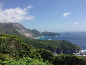 Image3