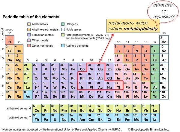 Periodic table showing element which could exhibit metallophilicity.