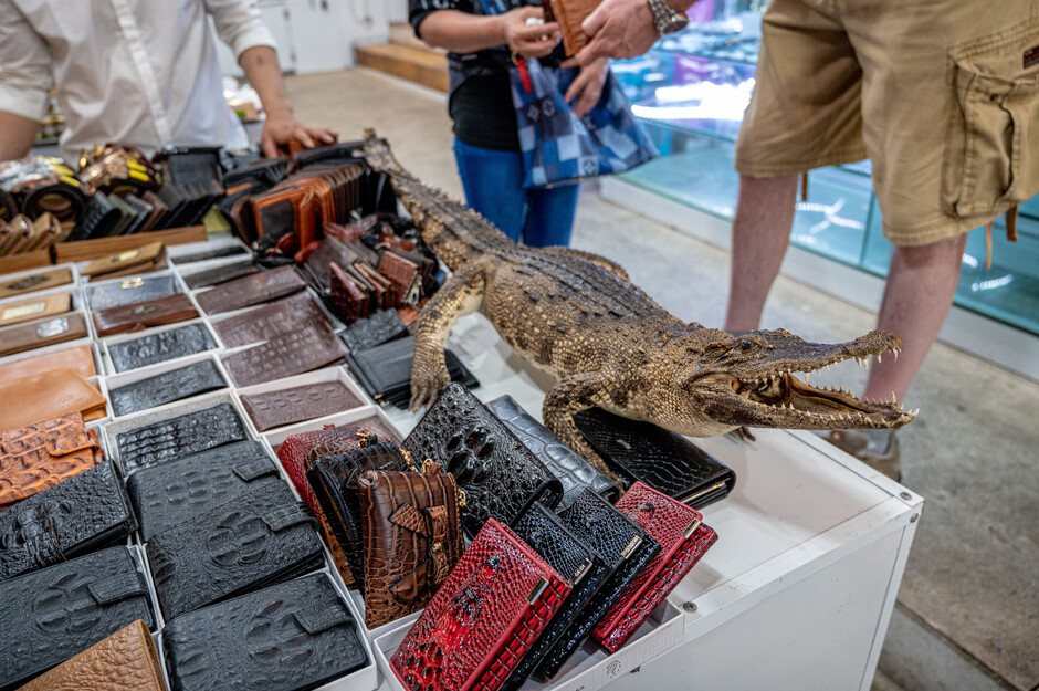 Crocodile skin wallets on sale in Vietnam. Hong Kong is the worlds number one legal importer of such luxury items made from wildlife. (Photo Credit: Sam Inglis)