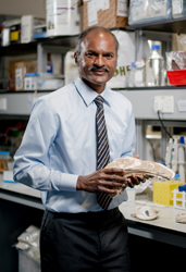 Dr Thiyagarajan VENGATESEN, School of Biological Sciences