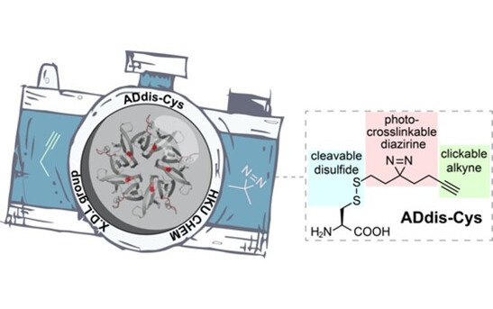 The ADdis-Cys ‘camera’ can simultaneously identify a protein's interacting partners and pinpoint their binding regions.