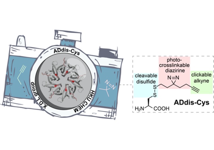 The ADdis-Cys ‘camera’ can simultaneously identify a protein's interacting partners and pinpoint their binding regions.