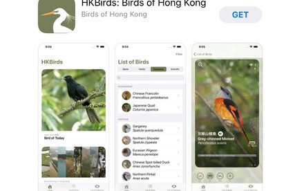 From flat screen to nature via birding: HKU Ecologist and the Hong Kong Bird Watching Society jointly developed a Mobile App "HKBirds: Birds of Hong Kong", facilitating a bird-watching learning platform