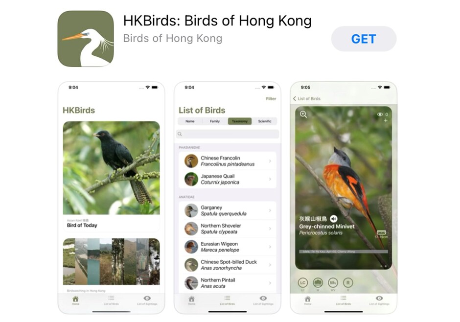 The mobile application records over 40% (240 species) of the birds in Hong Kong. 