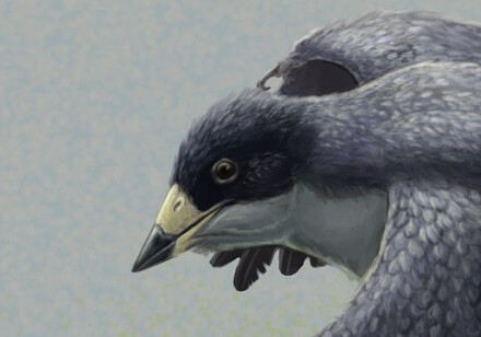 HKU Team Paves the Way for Learning what Ancient Birds Ate