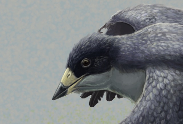 Reconstruction of the early fossil beaked bird Confuciusornis. The beak of Confuciusornis was previously studied by this team and found to have strength similar to birds eating plants or  insects. Image credit: Gabriel Ugueto.