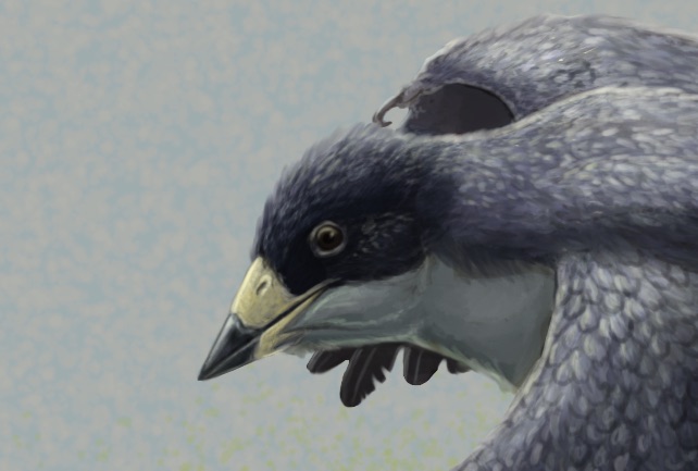 Reconstruction of the early fossil beaked bird Confuciusornis. The beak of Confuciusornis was previously studied by this team and found to have strength similar to birds eating plants or insects. Image credit: Gabriel Ugueto.