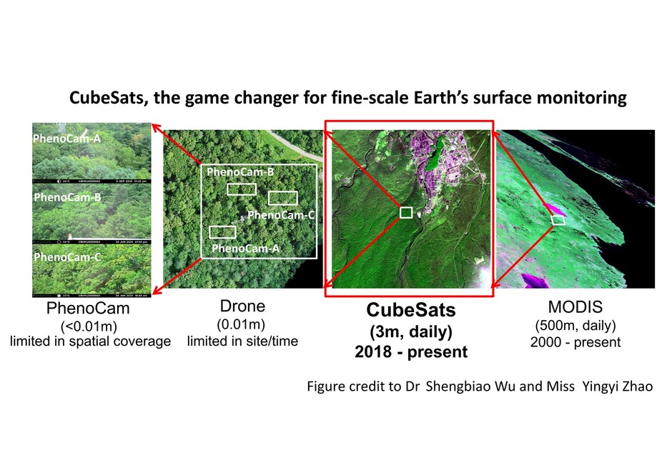 CubeSats serve as a bridge between proximate remote sensing measurements of phenocam and drone surveys, and MODIS satellite measurements. Figure credit: Dr Shengbiao WU and Miss Yingyi ZHAO 