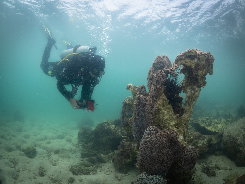 Vriko dived into the sea and placed the reef tiles on the sea floor with her own hands. Photo credit: GLOBAL SHAPERS HONG KONG - SUSTAINHK