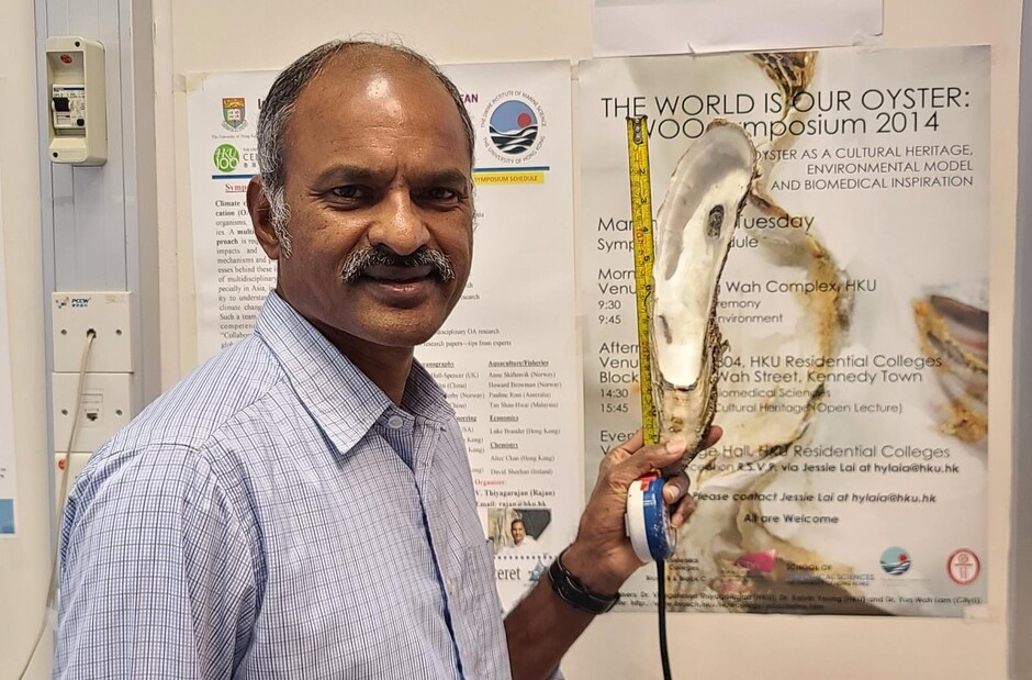 Dr Thiyagarajan VENGATESEN of HKU School of Biological Sciences and The Swire Institute of Marine Science said, the hatchery was designed not only for oyster seed production but also as a platform for research, education, and knowledge exchange.
