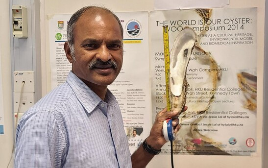 Dr Thiyagarajan VENGATESEN of HKU School of Biological Sciences and The Swire Institute of Marine Science said, the hatchery was designed not only for oyster seed production but also as a platform for research, education, and knowledge exchange.