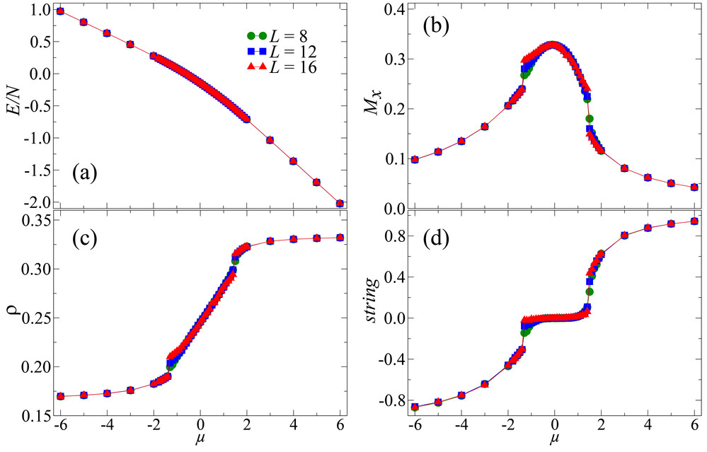 Figure 4. Distinguishing the topological orders and trivial phases by designed measurements.