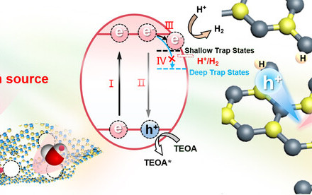 Catalysing ‘Net-Zero’ Green Hydrogen from the Sun: HKU Chemists Discover a Fundamental Catalyst Protonation Process to Promote Solar-Driven Water-Splitting for Hydrogen Production without CO2 Emissions