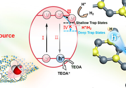 Catalysing ‘Net-Zero’ Green Hydrogen from the Sun: HKU Chemists Discover a Fundamental Catalyst Protonation Process to Promote Solar-Driven Water-Splitting for Hydrogen Production without CO2 Emissions