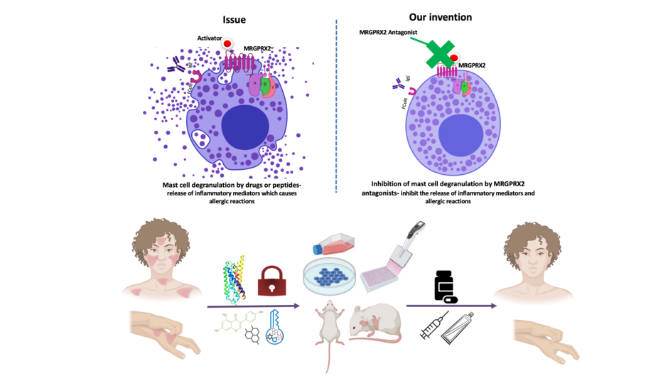 Inhibition of mast cell degranulation by MRGPRX2