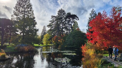 Cambridge