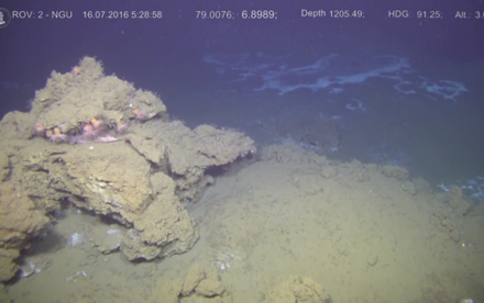 Undergraduate Alumna’s Research Discovers New Proxy for Methane Seepage Activities