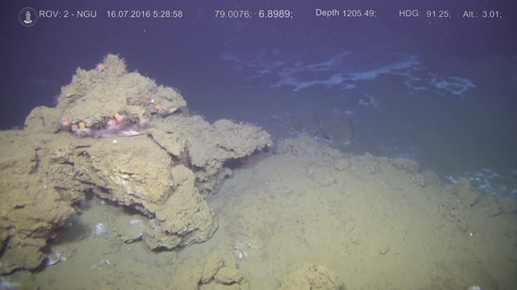 Photos of a methane seep site at Vestnesa Ridge, Svalbard. Photo credit: Geological Survey of Norway (NGU), Trondheim, Norway