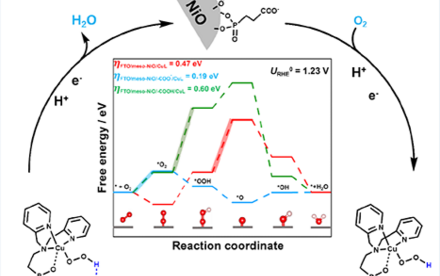 Bridging a catalyst: HKU chemists developed a metal-free cocatalyst to promote facile oxygen reduction reaction by inducing the formation of key hydrogen bonds between surface species