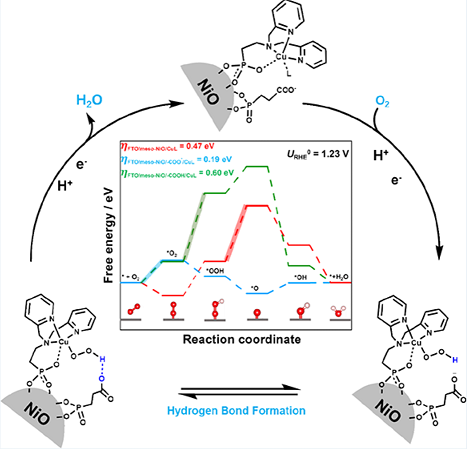 This scheme Illustrates efficient, selective oxygen reduction using earth-abundant electrocatalyst and new surface cocatalysts. Image adapted from ACS Catalysis, 2023, doi:10.1021/acscatal.3c00384.