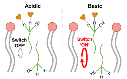 HKU Chemists Developed Nitrile-Based Proton Carriers for Enhanced Oxygen Reduction