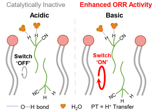 Nitrile-Facilitated Proton Transfer for Enhanced Oxygen Reduction by Hybrid Electrocatalysts. Image adapted from ACS Catalysis, 2020, doi:10.1021/acscatal.0c03506.