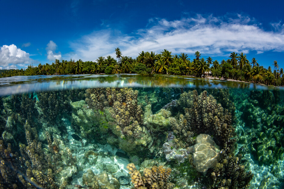 Our researchers are devoted to cultivate groundbreaking technologies and progressive methodologies that elevate the environment and safeguard invaluable resources.