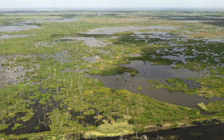 Critical Research Underscores the Urgency of Staying Below the 2°C Limit for Safeguarding Coastal Ecosystems