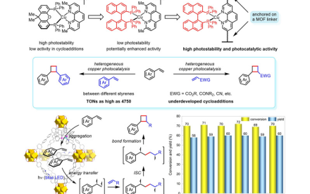 HKU Chemists Pave the Way for Sustainable Organic Synthesis with Innovative Heterogeneous Copper Photocatalysis, Enabling Efficient Production of Diverse Bioactive Compounds