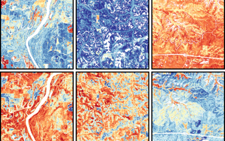 Mapping Plant Functional Diversity from Space: HKU Ecologists Revolutionise Ecosystem Monitoring with Novel Field-Satellite Integration