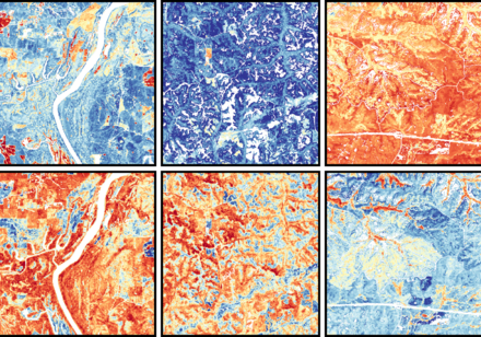 Mapping Plant Functional Diversity from Space: HKU Ecologists Revolutionise Ecosystem Monitoring with Novel Field-Satellite Integration