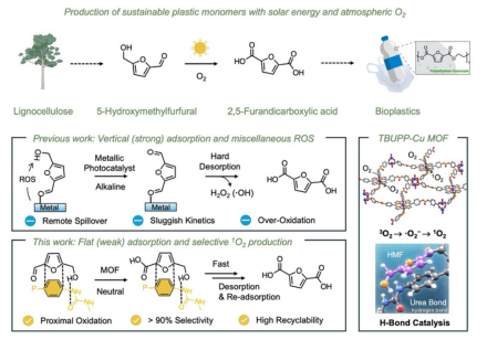 In this latest research, we have made significant advancements in the field of harnessing solar energy and biomass, resulting in the production of green chemicals and plastics.