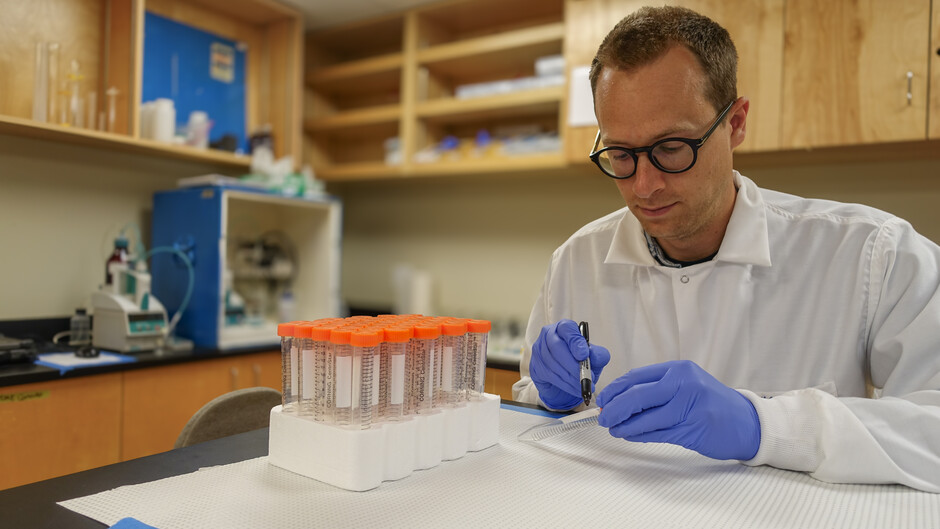 New research led by Dr Kohen Bauer, who began the research at HKU Earth Sciences, examines the climate ‘tipping point’ for ocean deoxygenation.