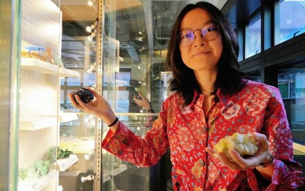 Earth Scientist Featured on IAVCEI Newsletter as an Outstanding Early Career Researcher